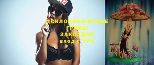 сатива Алексеевка