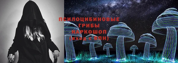 молекула духа Алексин
